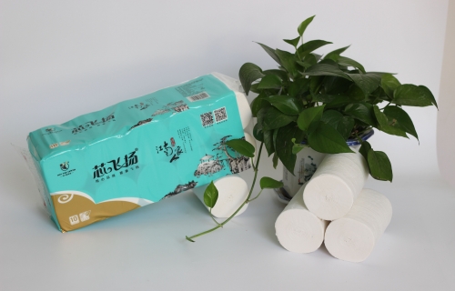 1200g亚洲蜜桃无码江南人家长条实芯卷纸10卷