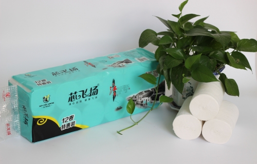 1600g亚洲蜜桃无码忆江南长条实芯卷纸12卷