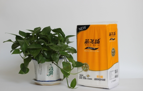 700g亚洲蜜桃无码活力版多功能抽取式方巾纸