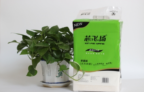 700g亚洲蜜桃无码青春版双层压花方巾纸
