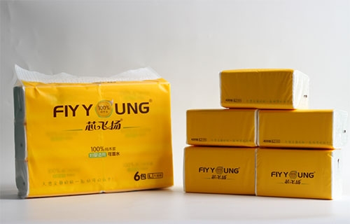 L号6包fly young 纯木浆精品软蜜桃污污污网站